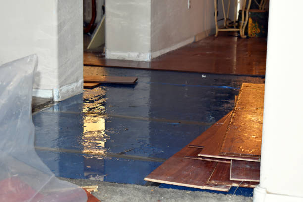 Professional Burst Pipe Cleanup technician working in University Place, WA